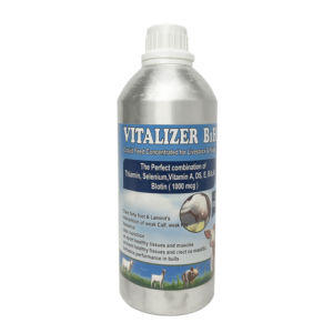 VITALIZER B1H